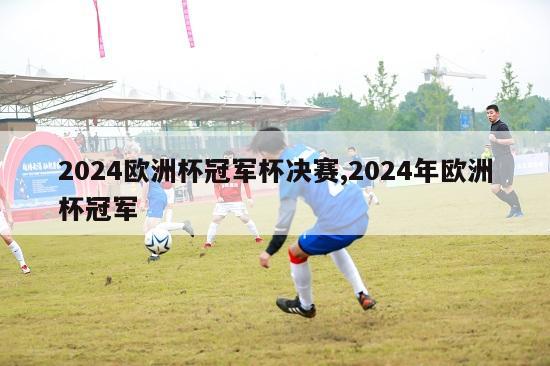 2024欧洲杯冠军杯决赛,2024年欧洲杯冠军