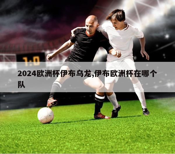 2024欧洲杯伊布乌龙,伊布欧洲杯在哪个队