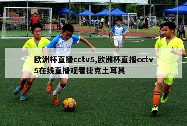 欧洲杯直播cctv5,欧洲杯直播cctv5在线直播观看捷克土耳其