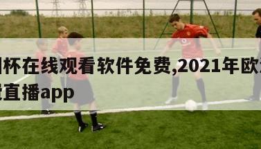 欧洲杯在线观看软件免费,2021年欧洲杯免费直播app